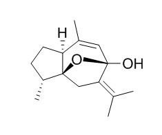 4-表-莪术醇,分析标准品,HPLC≥95%
