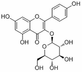 紫云英苷，分析标准品,HPLC≥98%