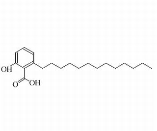 白果新酸（银杏酸C13:0），分析标准品,HPLC≥98%