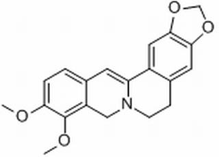 二氢小檗碱，分析标准品,HPLC≥98%