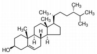 菜油甾醇，分析标准品,HPLC≥98%