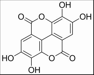 鞣花酸，分析标准品,HPLC≥98%