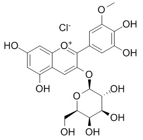 氯化矮牵牛素-3-O-半乳糖苷，分析标准品,HPLC≥98%