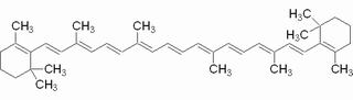 α-胡萝卜素，分析标准品,HPLC≥98%