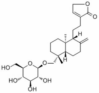 新穿心莲内酯，分析标准品,HPLC≥98%