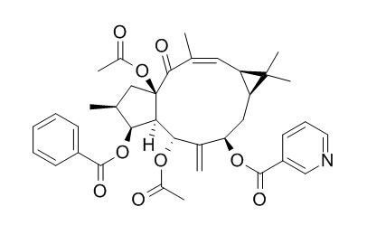 大戟因子L9，分析标准品,HPLC≥95%