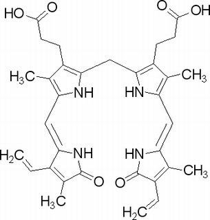 胆红素，分析标准品,HPLC≥98%