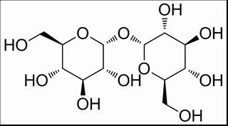 海藻糖,分析标准品,HPLC≥98%