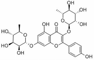 山奈苷，分析标准品,HPLC≥98%