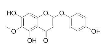 茵陈色原酮，分析标准品,HPLC≥98%