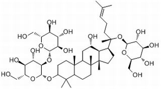 人参皂苷Rd，分析标准品,HPLC≥98%