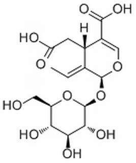 Oleoside,分析标准品,HPLC≥98%