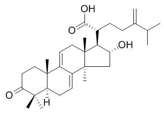 多孔菌酸C，分析标准品,HPLC≥95%