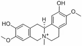 黄柏碱，分析标准品,HPLC≥98%