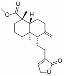 红松内酯，分析标准品,HPLC≥98%