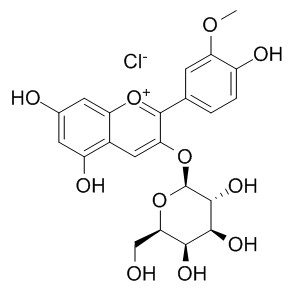 氯化芍药素-3-O-半乳糖苷，分析标准品,HPLC≥95%