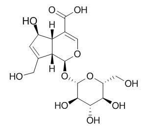 鸡屎藤次苷,分析标准品,HPLC≥95%