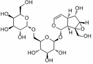 地黄苷A，分析标准品,HPLC≥98%