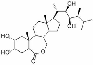 芸苔素内酯，分析标准品,HPLC≥95%