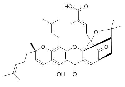 异藤黄酸，分析标准品,HPLC≥95%