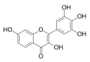 洋槐黄素,分析标准品,HPLC≥95%