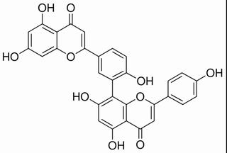 穗花杉双黄酮，分析标准品,HPLC≥98%