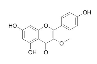 异山柰素,分析标准品,HPLC≥95%
