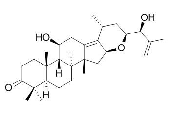 25-脱水泽泻醇F，分析标准品,HPLC≥95%