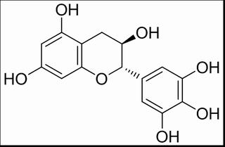 没食子儿茶素，分析标准品,HPLC≥98%