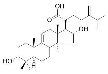 3-表去氢土莫酸，分析标准品,HPLC≥95%