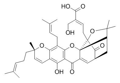 30-羟基藤黄酸，分析标准品,HPLC≥95%