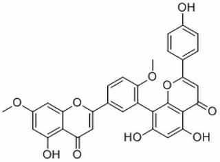 银杏双黄酮，分析标准品,HPLC≥98%