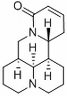 槐果碱，分析标准品,HPLC≥98%