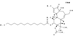 佛波醇12-十四酸酯13-乙酸酯,分析标准品,HPLC≥98%
