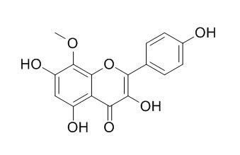8-甲氧基山奈酚; 8-甲氧基莰非醇,分析标准品,HPLC≥95%