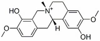 汉防己丙素,分析标准品,HPLC≥98%