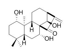 尾叶香茶菜戊素，分析标准品,HPLC≥95%