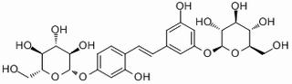 桑皮苷A，分析标准品,HPLC≥98%