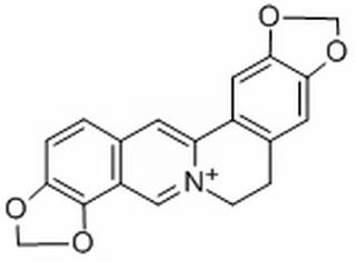 黄连碱，分析标准品,HPLC≥98%