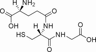 还原型谷胱甘肽，分析标准品,HPLC≥98%