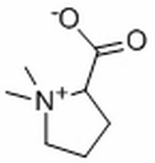 水苏碱，分析标准品,HPLC≥98%