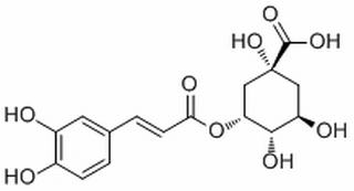 新绿原酸，分析标准品,HPLC≥98%