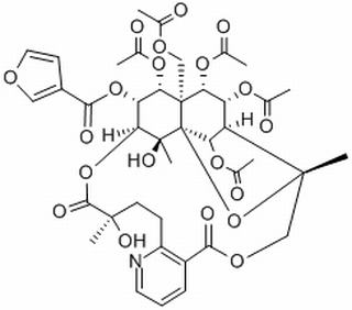 雷公藤春碱，分析标准品,HPLC≥98%