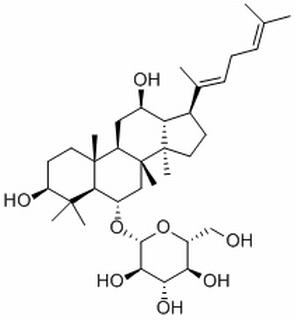 人参皂苷Rh4，分析标准品,HPLC≥98%