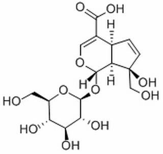 水晶兰苷，分析标准品,HPLC≥98%