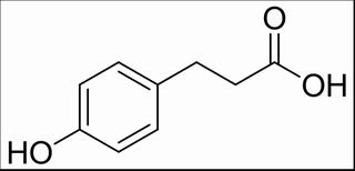 对羟基苯丙酸，分析标准品,HPLC≥98%