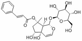 哈巴俄苷,分析标准品,HPLC≥98%