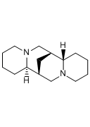 (+)-鹰爪豆碱，分析标准品,GC≥98%