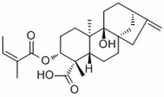 3α-Angeloyloxypterokaurene L3，分析标准品,HPLC≥98%
