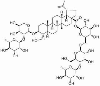 白头翁皂苷B4，分析标准品,HPLC-ELSD≥95%